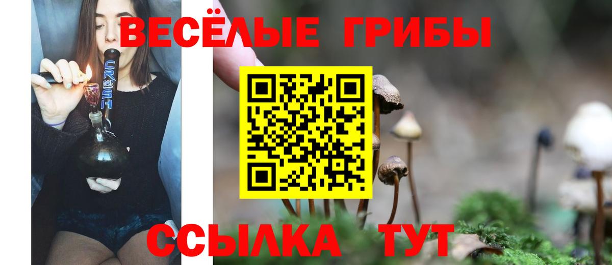 Галлюциногенные грибы прущие грибы Ишимбай